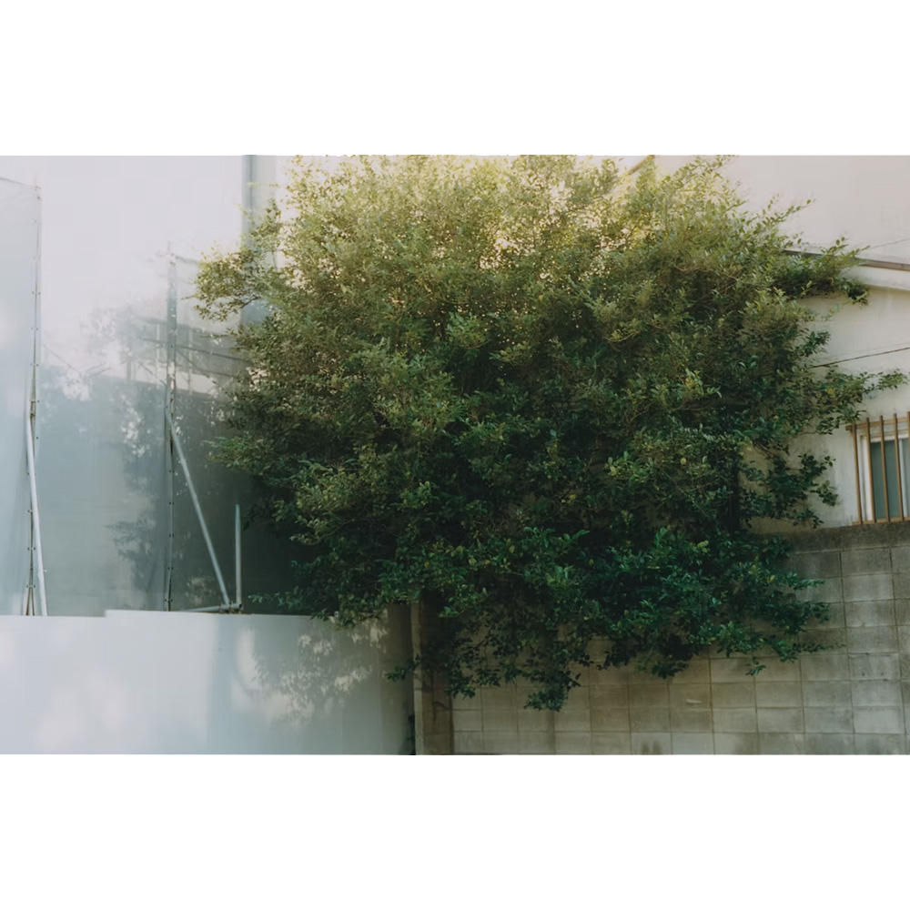 【初版/500部限定】『座標』 (There exists)　池谷陸 写真集