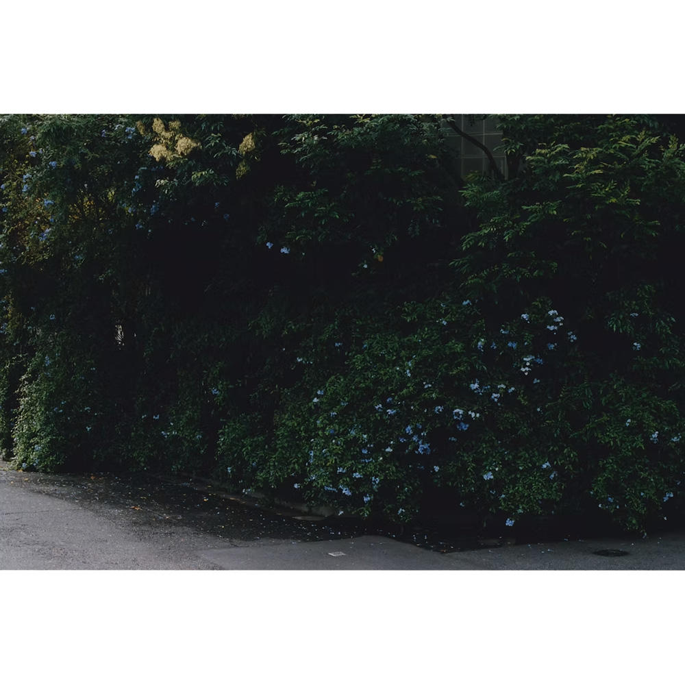 【初版/500部限定】『座標』 (There exists)　池谷陸 写真集