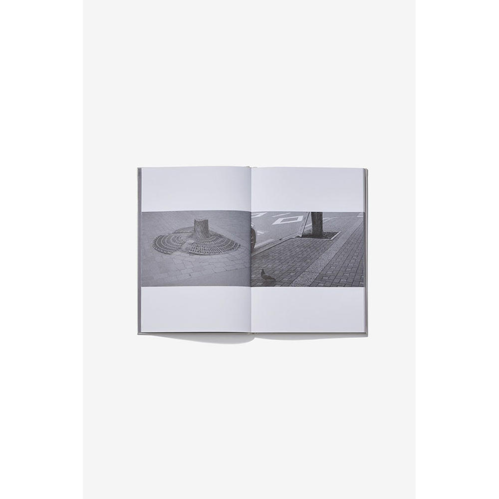 Riku Ikeya『root』池谷陸 写真集