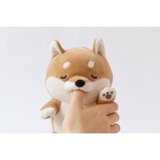 甘噛みハムハム_コタロウ/シバイヌ【甘噛みロボット】