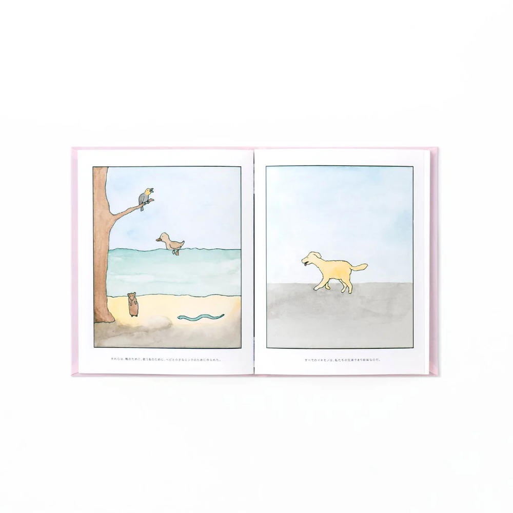 ほんとうの私たち（通常版）