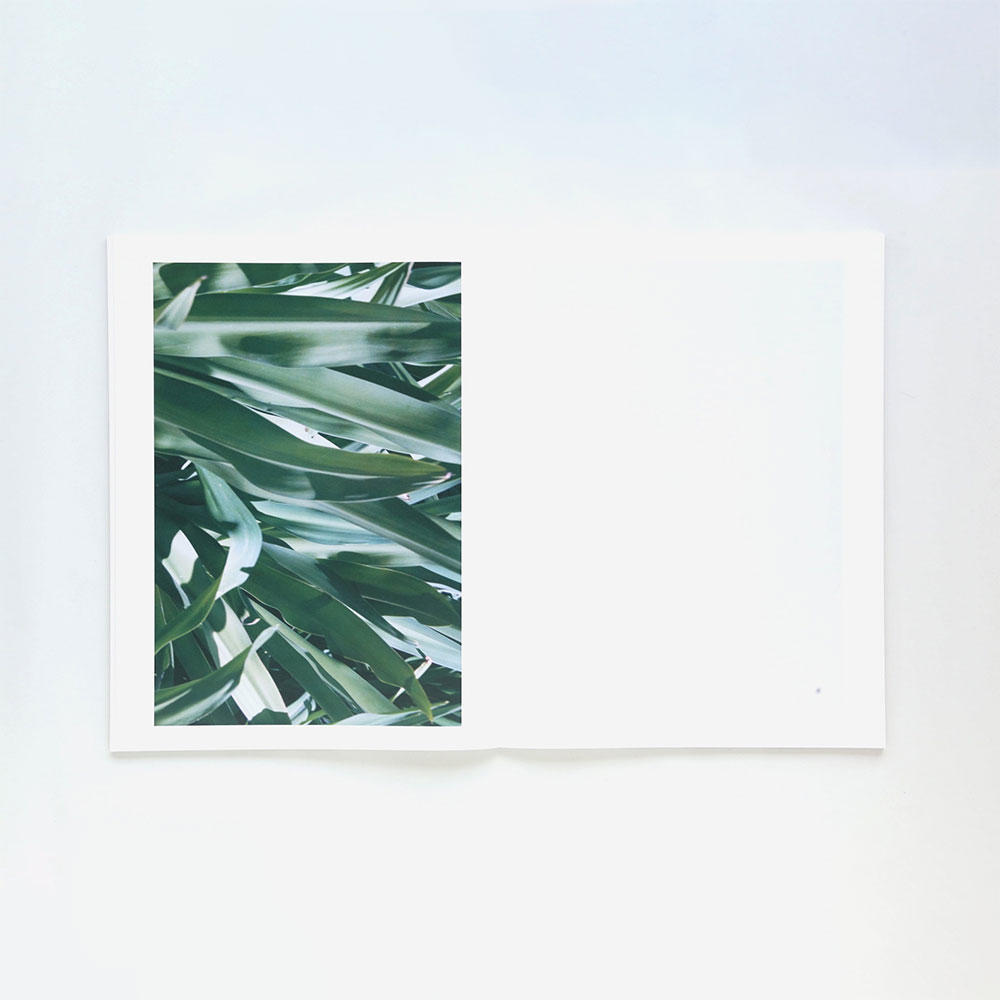 やさしいだけ 松岡一哲 写真集 .