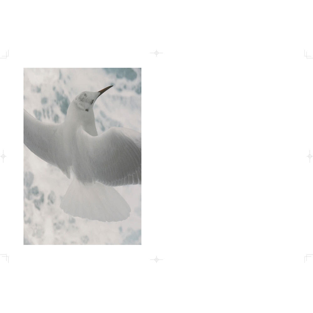 『もっと深くて鋭くて、危なくて、たまらなく美しいやつ。 普通じゃないもの。』松岡一哲 写真集