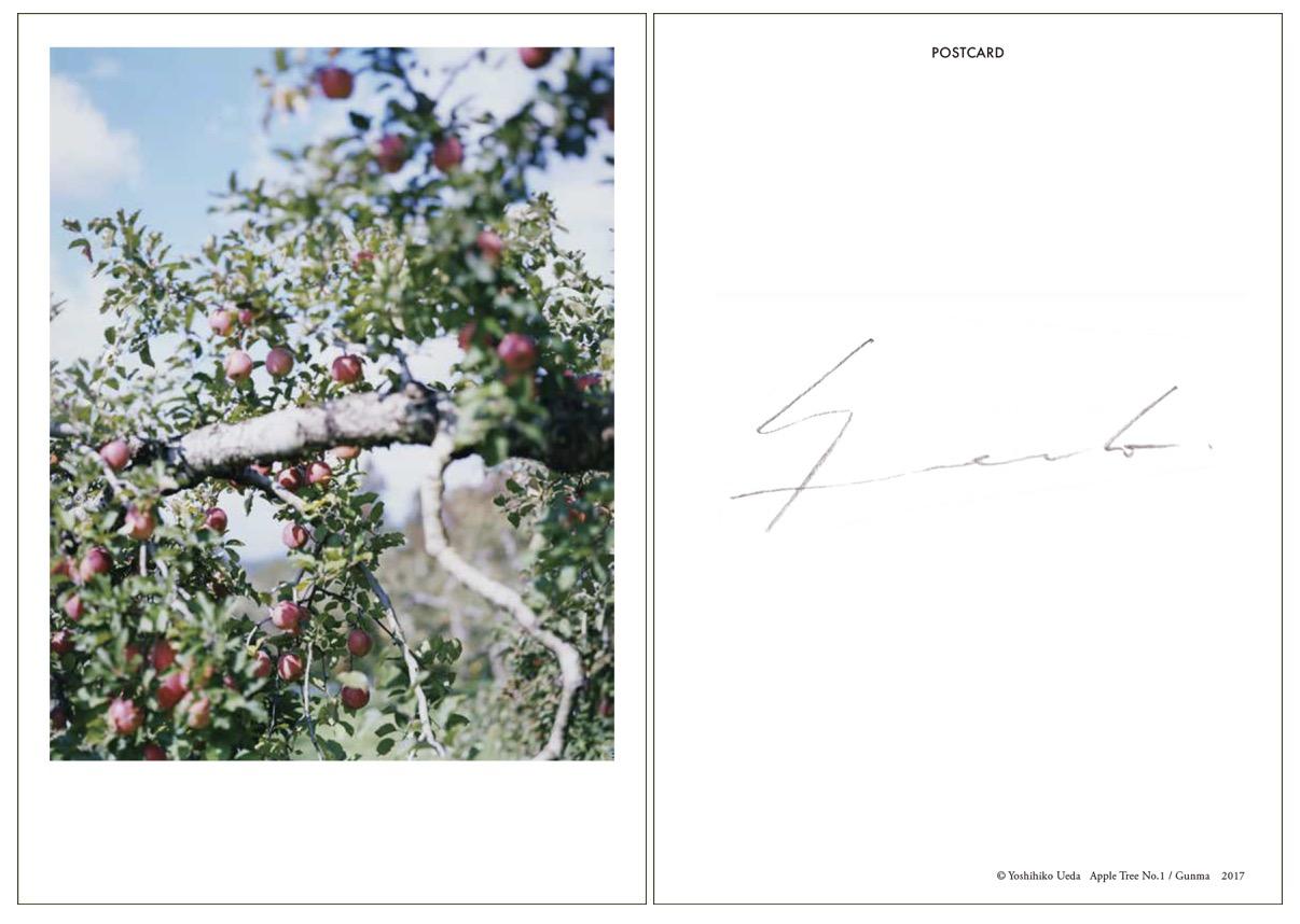 【特典付】上田義彦『いつも世界は遠く、』