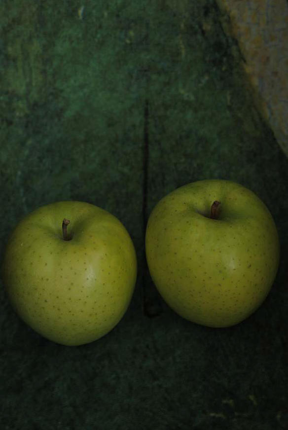 【特典付】上田義彦『いつも世界は遠く、』