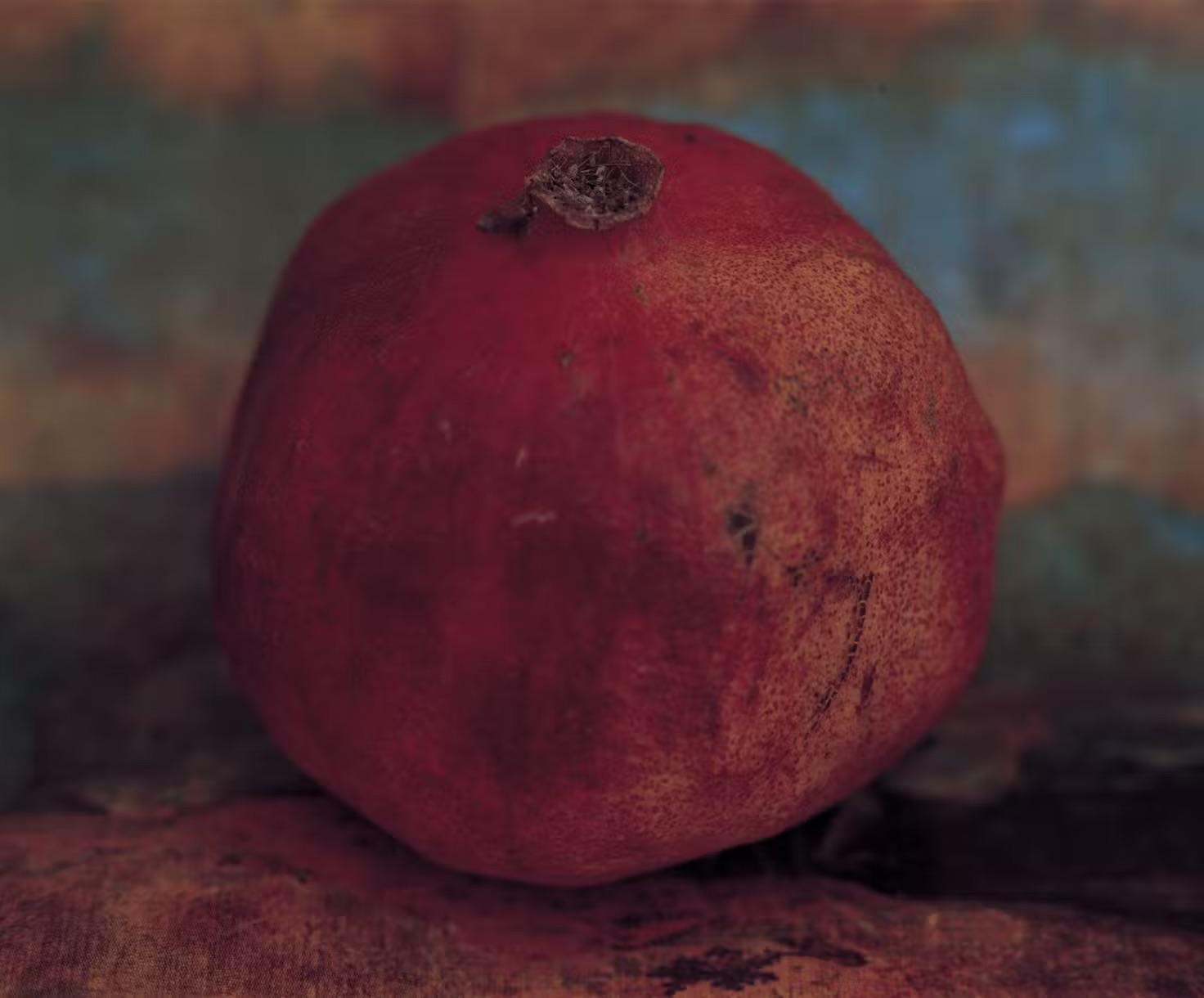 【特典付】上田義彦『いつも世界は遠く、』