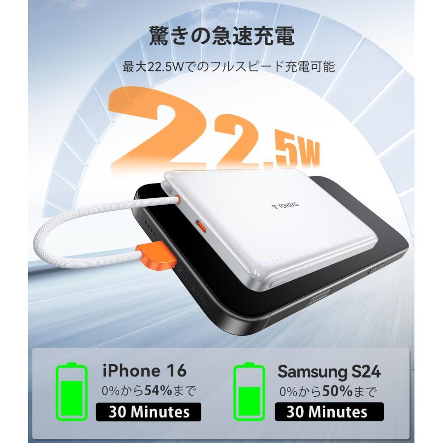 TORRAS（トラス）PebbleLink Powerbank 10000mAhモバイルバッテリー 