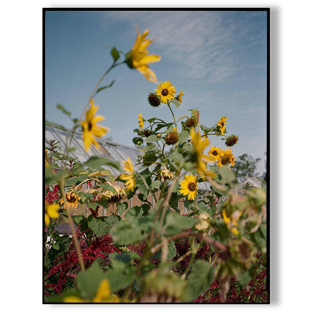 A MAGAZINE CURATED BY CECILIE BAHNSEN（セシリー・バンセン）　雑誌 