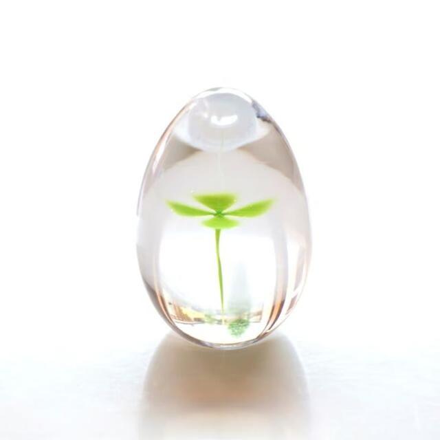 イイノナホ】clover（green） 著者：イイノナホの