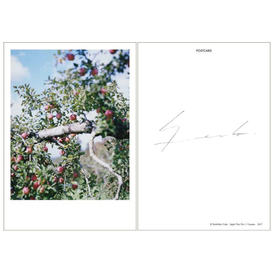 上田義彦『いつも世界は遠く、』【特典：直筆サイン入りポストカード付】