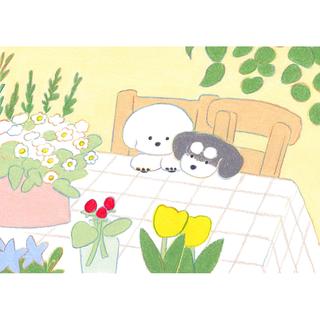 初版500部限定 Tod Hido 「KHRYSTYNA'S WORLD」 Todd Hido - Khrystyna's World (Signed) | Photobook Junkies