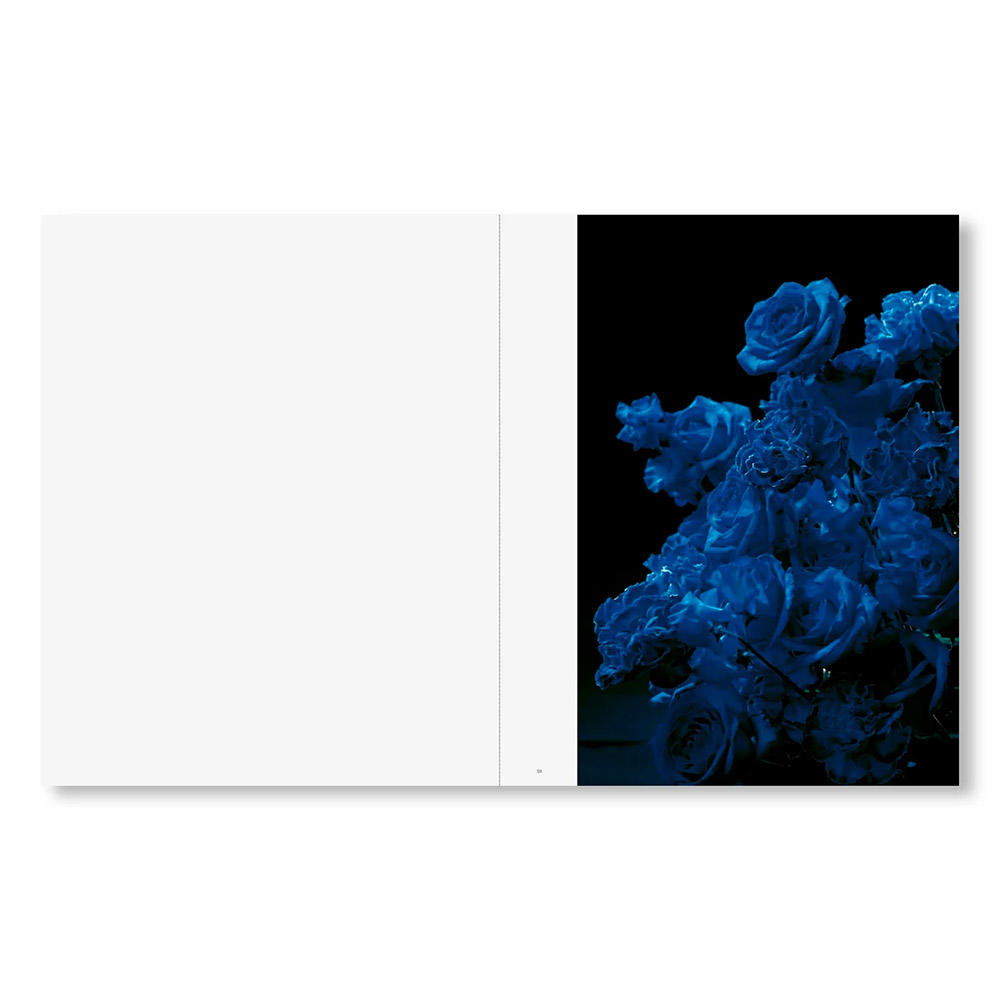 TENDER IS THE NIGHT by SAKIKO NOMURA（野村佐紀子）　写真集