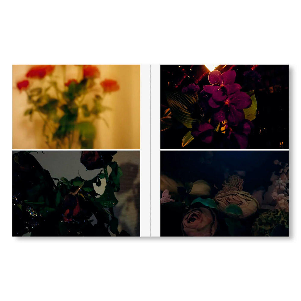 TENDER IS THE NIGHT by SAKIKO NOMURA（野村佐紀子）　写真集