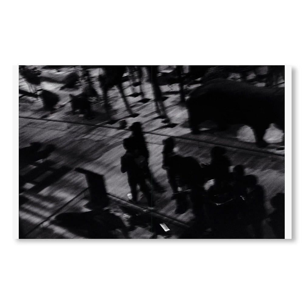 TENDER IS THE NIGHT by SAKIKO NOMURA（野村佐紀子）　写真集