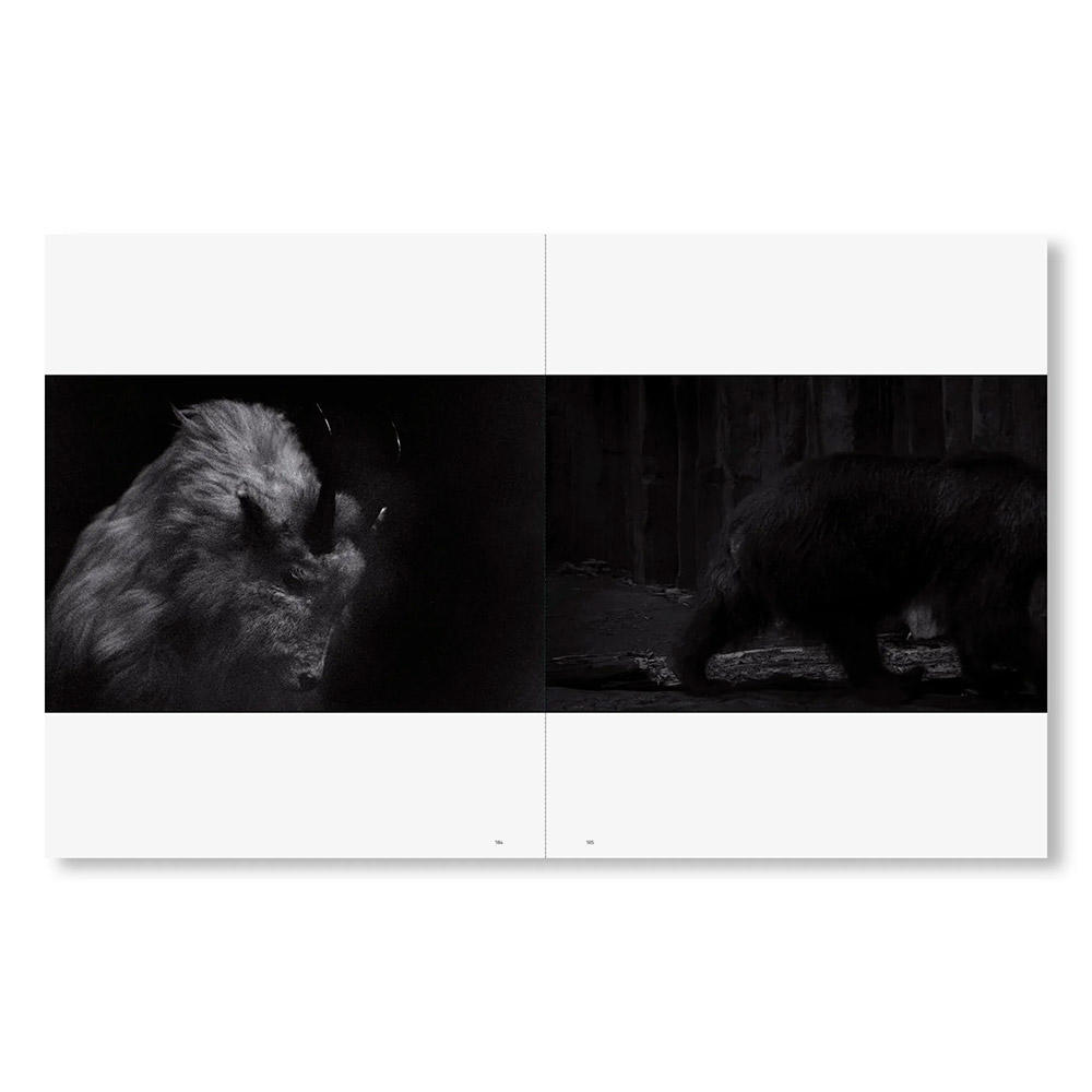 TENDER IS THE NIGHT by SAKIKO NOMURA（野村佐紀子）　写真集