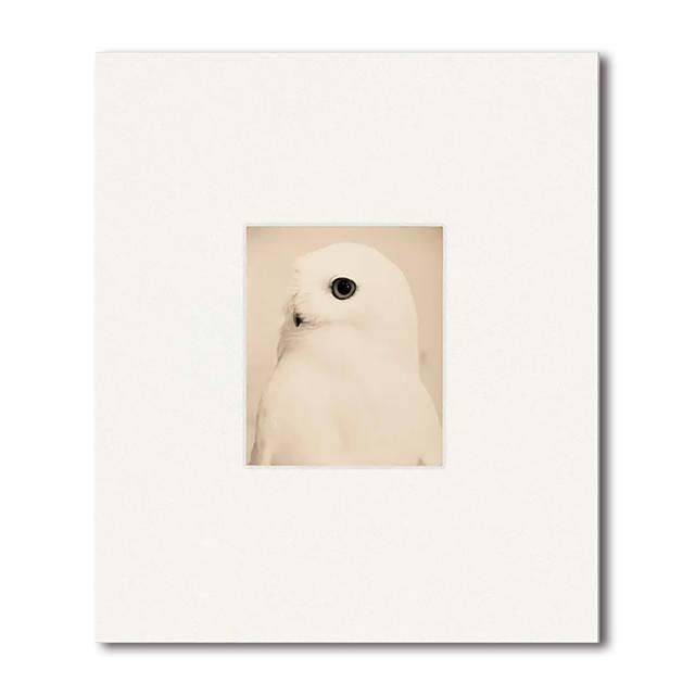 【初版1000部限定】Yamamoto Masao 山本昌男 写真集