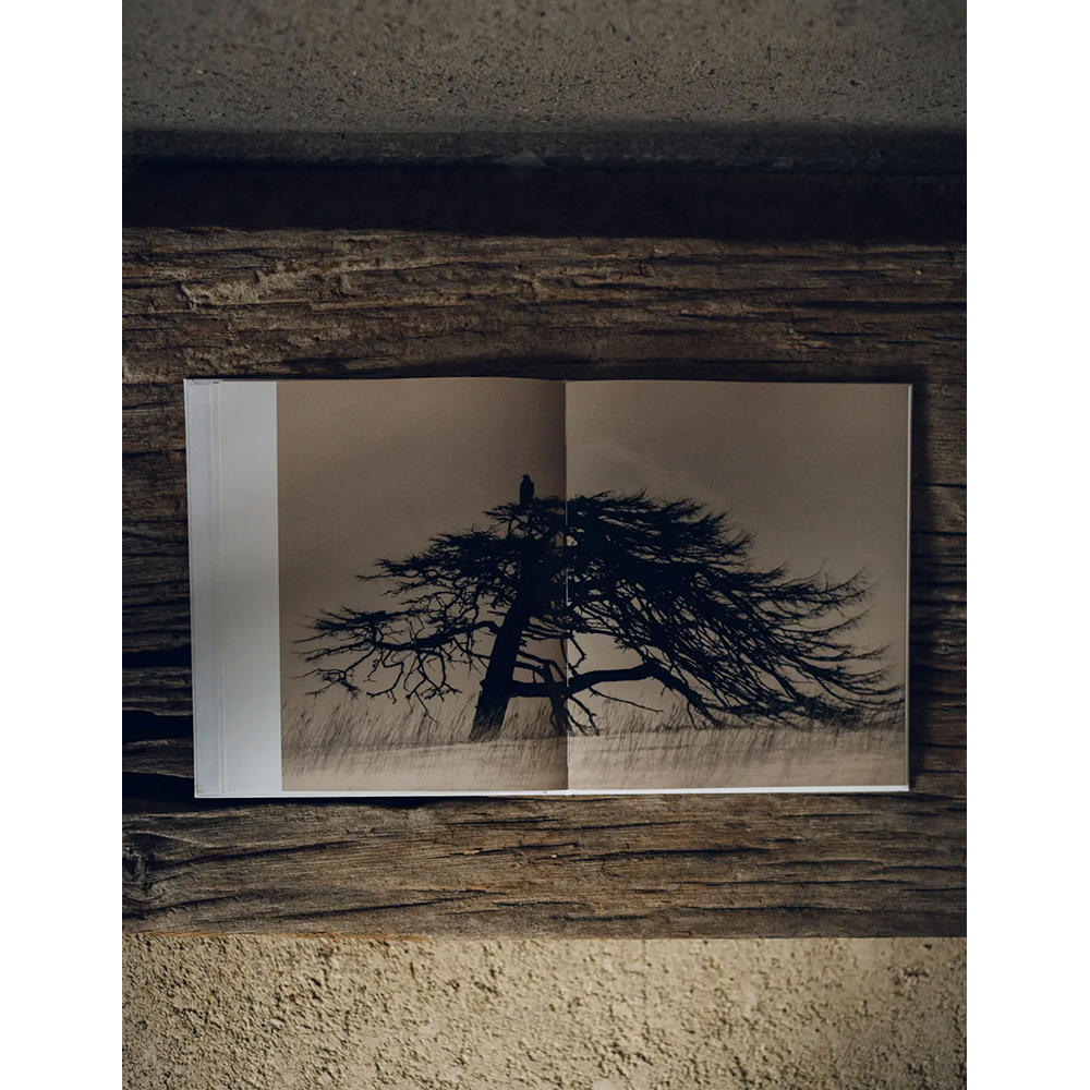 【初版1000部限定】Yamamoto Masao 山本昌男 写真集