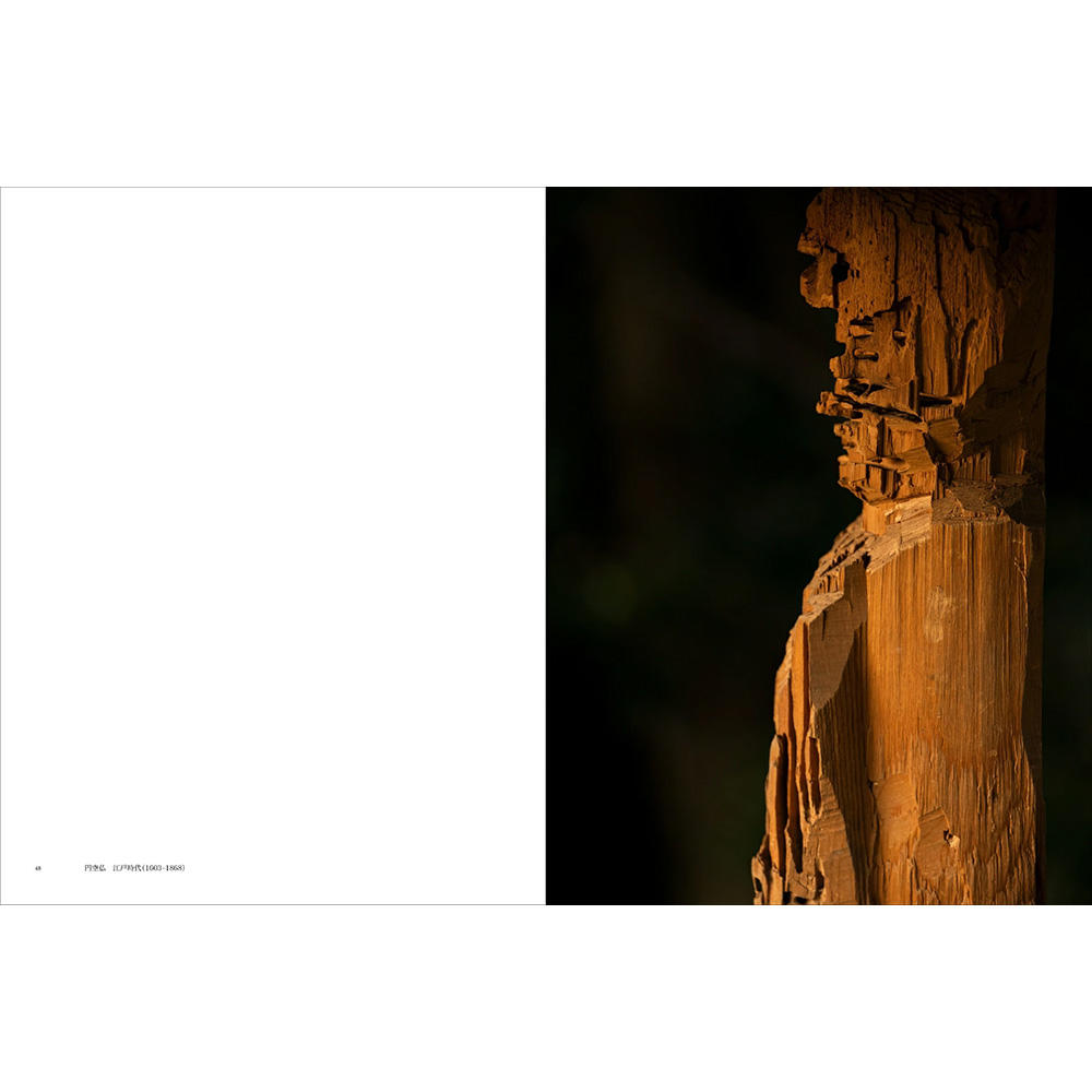 杉本博司　サイン入りポスター 杉本博司: PHOTOGENIC DRAWINGS ポスター／サイン入り