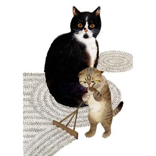 島村達彦、【林の春】、希少な額装用画集より、新品額装付 アート 趣味 価格の安い順 商品一覧 21ページ | 蔦屋書店、の公式通販