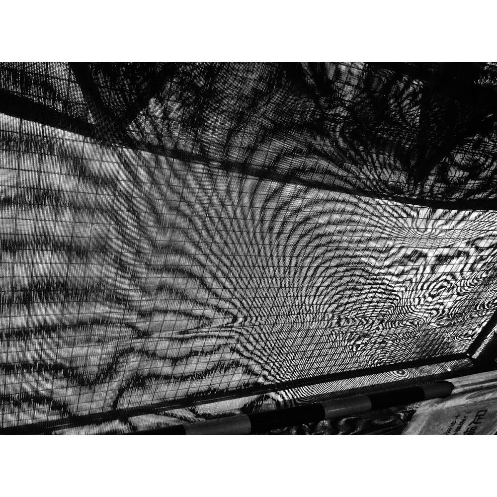 記録61号 森山大道 写真集 森山大道 -の商品詳細 | 蔦屋書店