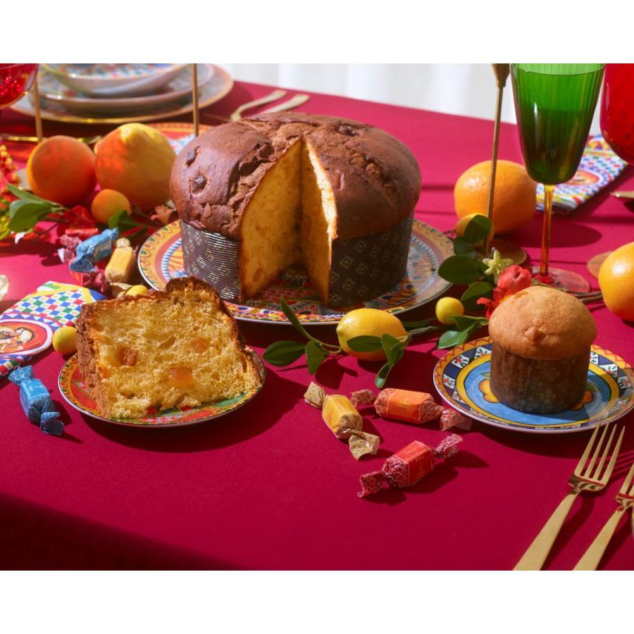 Dolce＆Gabbana PANETTONE AGLI AGRUMI （イエローブルー）