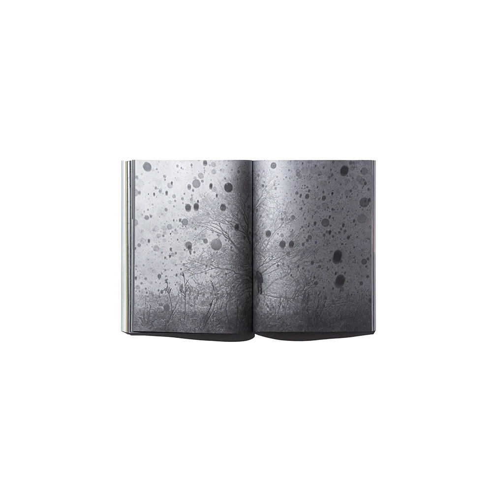 12000』 by Taro Mizutani（水谷太郎）写真集 水谷太郎 -の商品