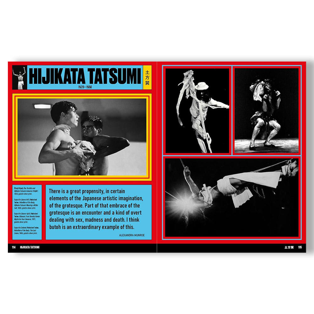 Japan Art Revolution: The Japanese Avant-Garde, from Angura to Provoke 日本のアート革命 -アングラからプロヴォークまで-