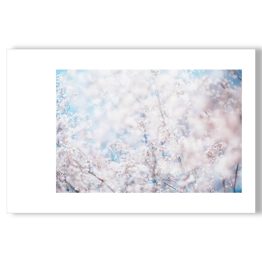 crescent 岩倉しおり 写真集