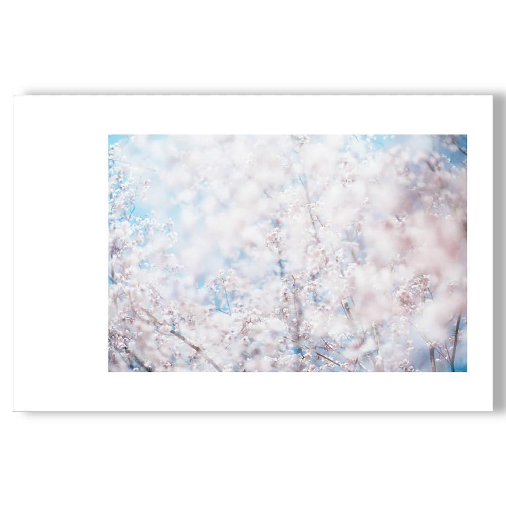 crescent 岩倉しおり 写真集