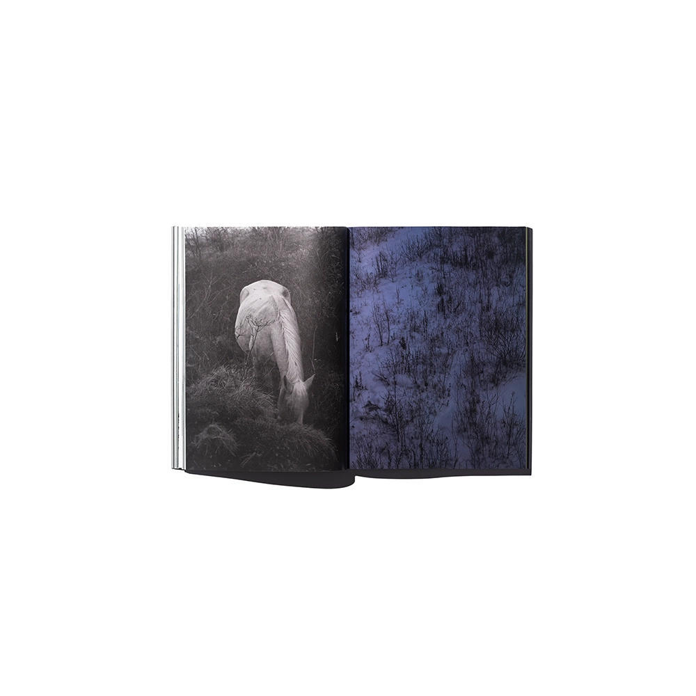 『12000』 by Taro Mizutani（水谷太郎）写真集 .