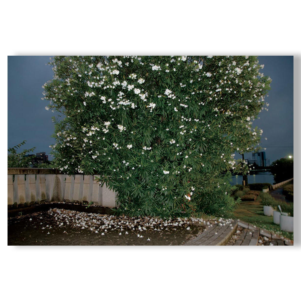 【重版】『川はゆく』　藤岡亜弥　写真集　