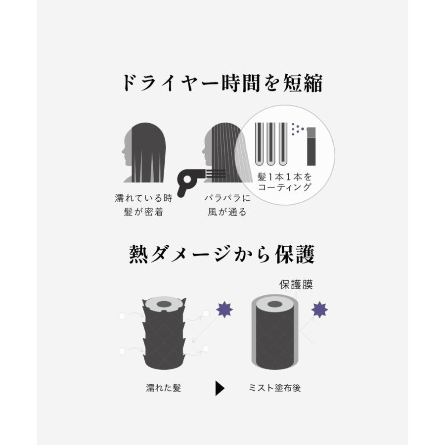 【GINZUBA】パワーミスト