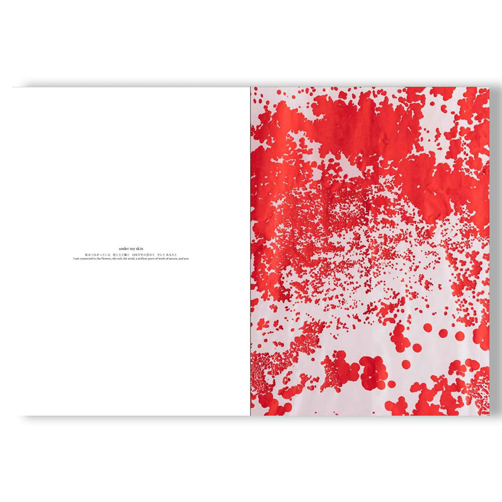 「いのちのじかん The Time of Existence」 大和美緒　作品集