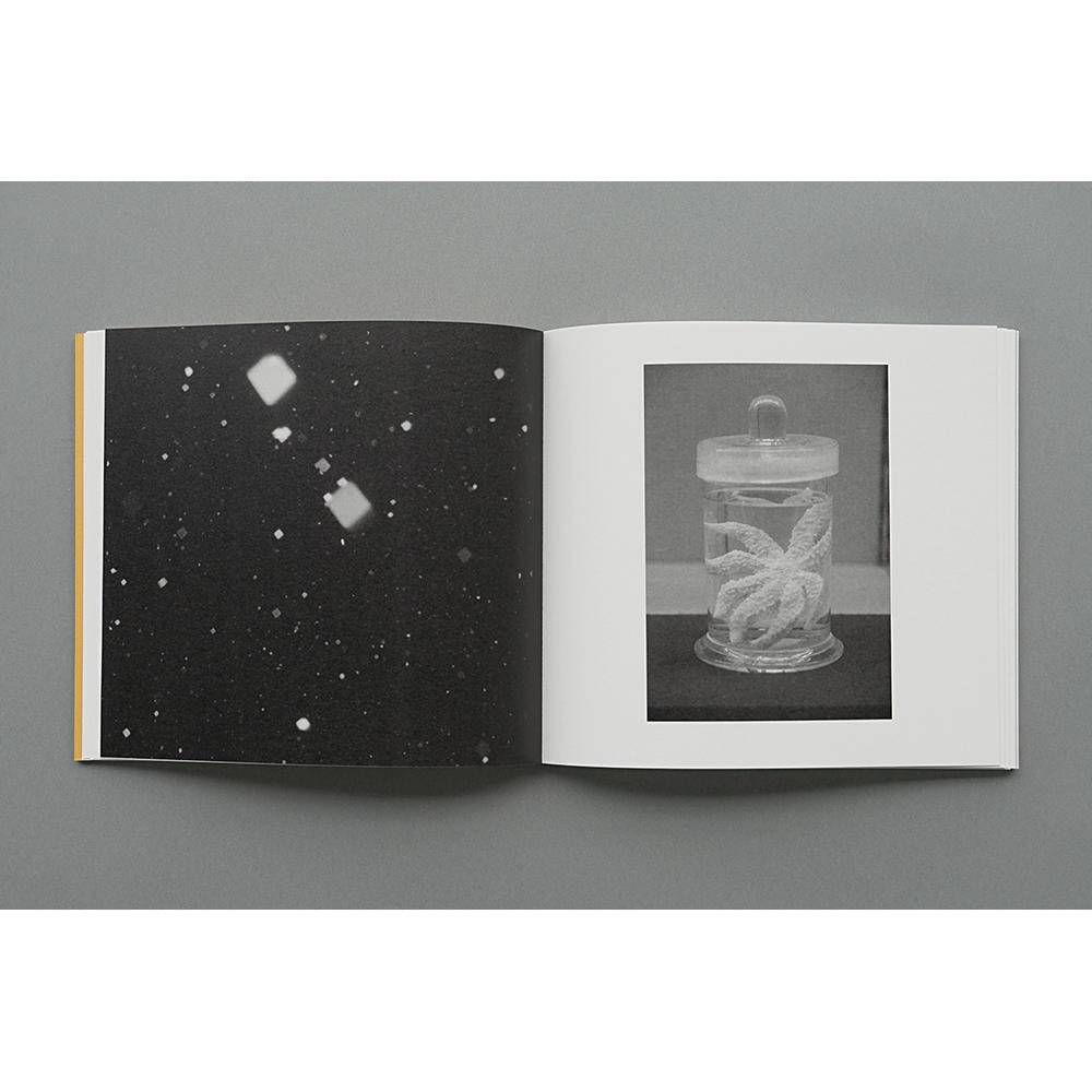 ABC 加瀬健太郎 写真集