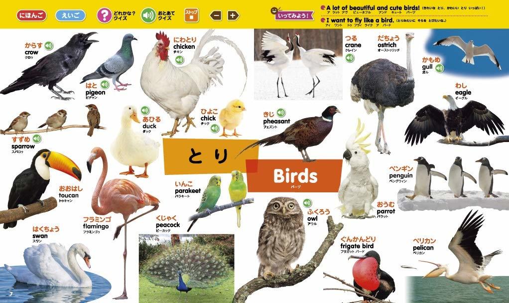 タッチペンで音が聞ける！はじめてずかん１０００ 英語つき