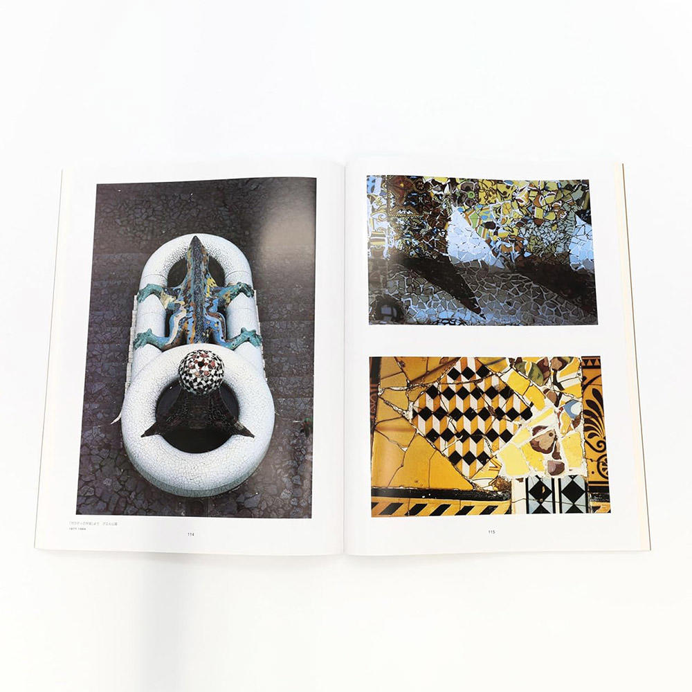 新装 写真家・細江英公の世界 球体写真二元論