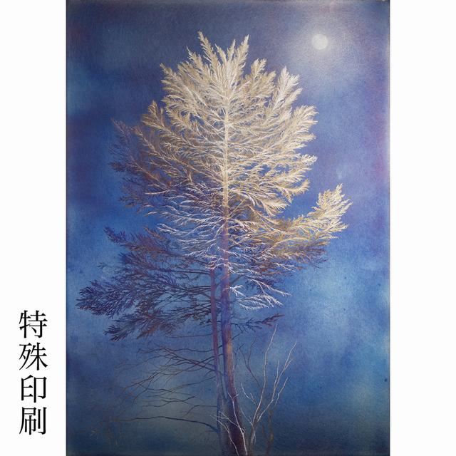 【受注予約販売・額装】YASUKA.M 特殊印刷１　淡夜