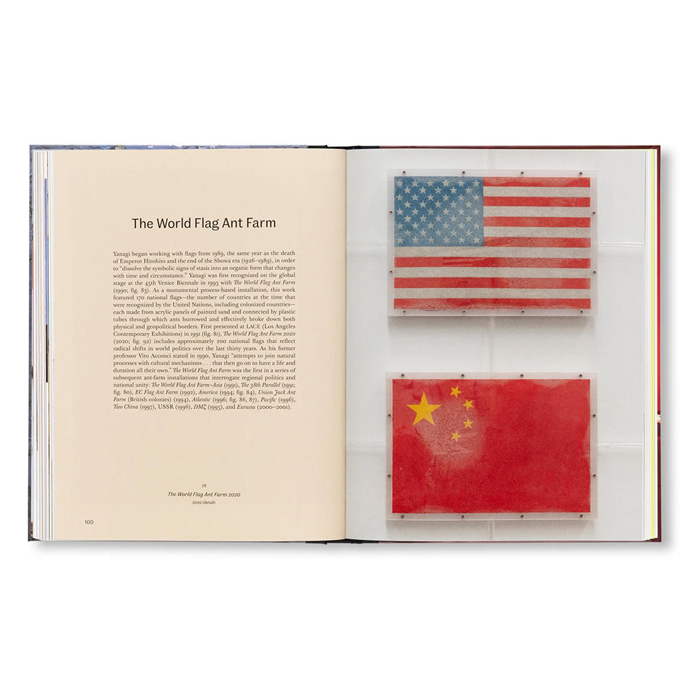 YUKINORI YANAGI by Yukinori Yanagi（柳幸典）　作品集