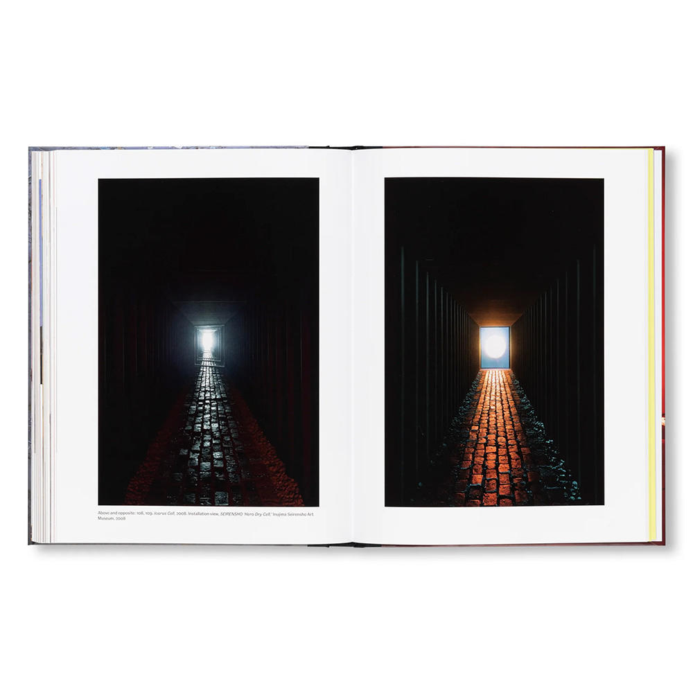 YUKINORI YANAGI by Yukinori Yanagi（柳幸典）　作品集