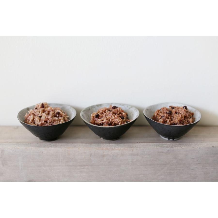 酵素玄米炊飯器 Labo炊飯器 ラージ【2-8合炊き】