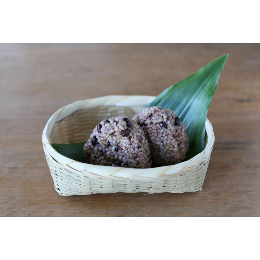 酵素玄米炊飯器 Labo炊飯器 ラージ【2-8合炊き】