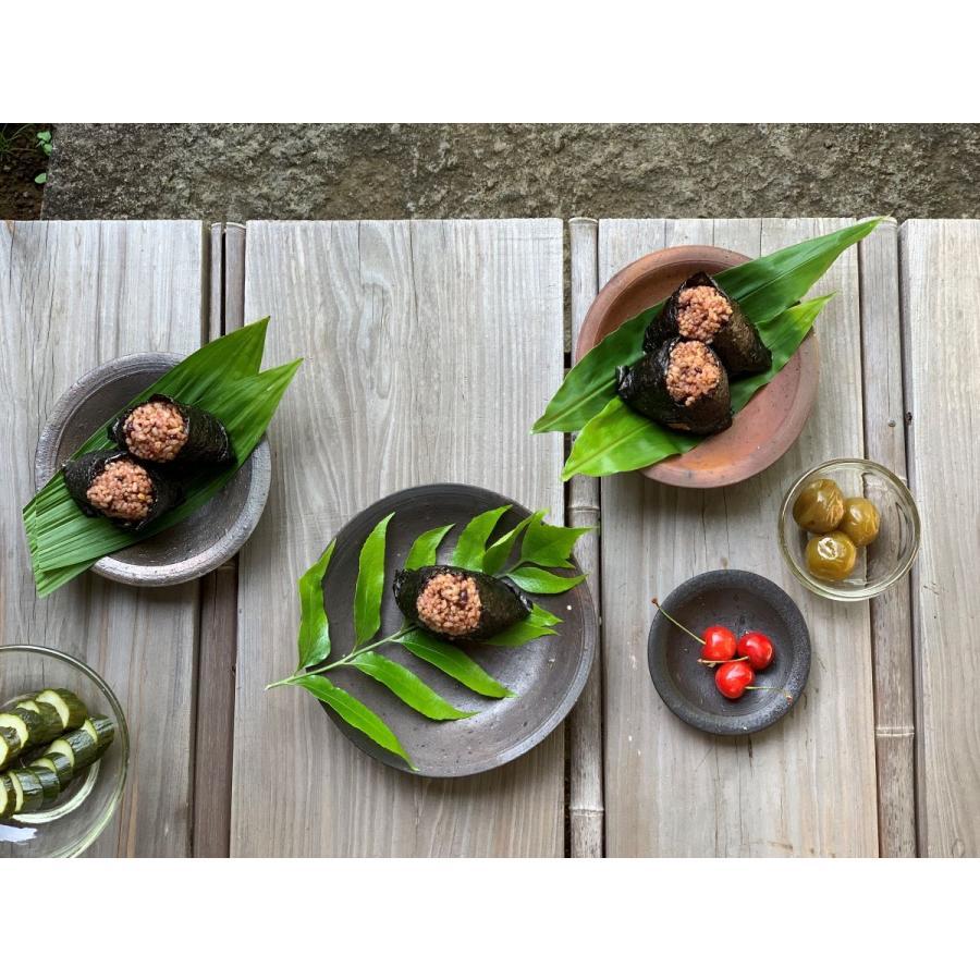 酵素玄米炊飯器 Labo炊飯器 ラージ【2-8合炊き】