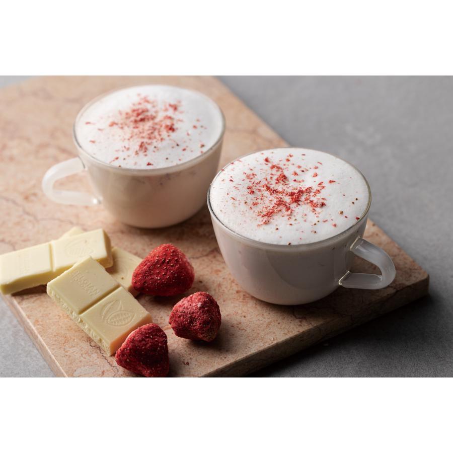 レコルト ホットチョコ ＆ ミルクフォーマー ナチュラルブラック