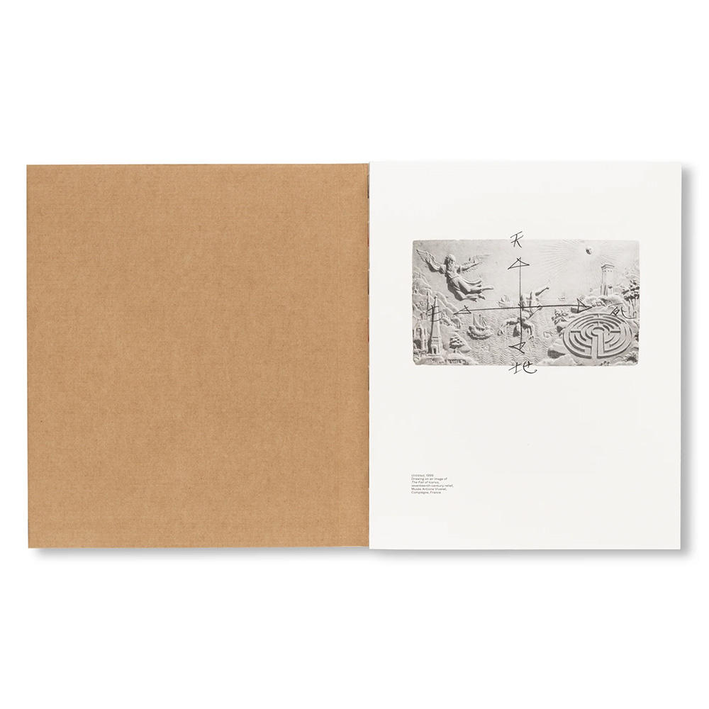 ICARUS by Yukinori Yanagi（柳幸典）　作品集