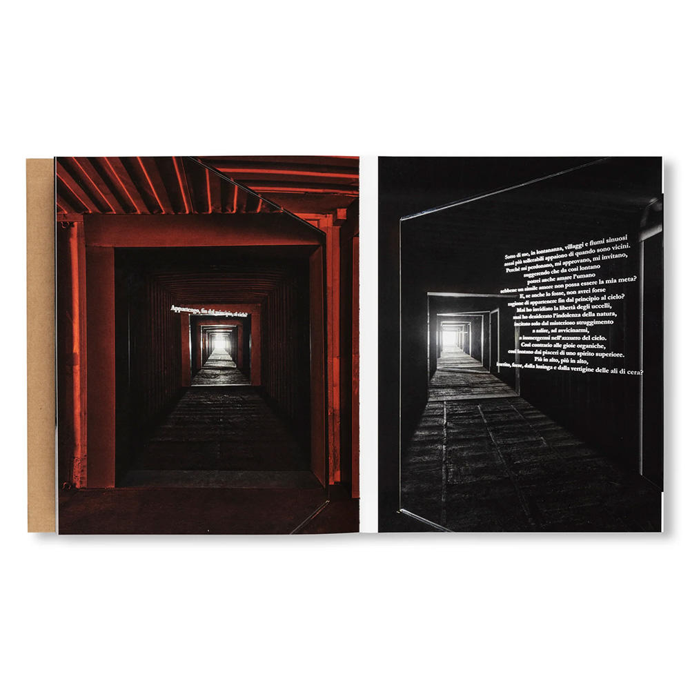 ICARUS by Yukinori Yanagi（柳幸典）　作品集