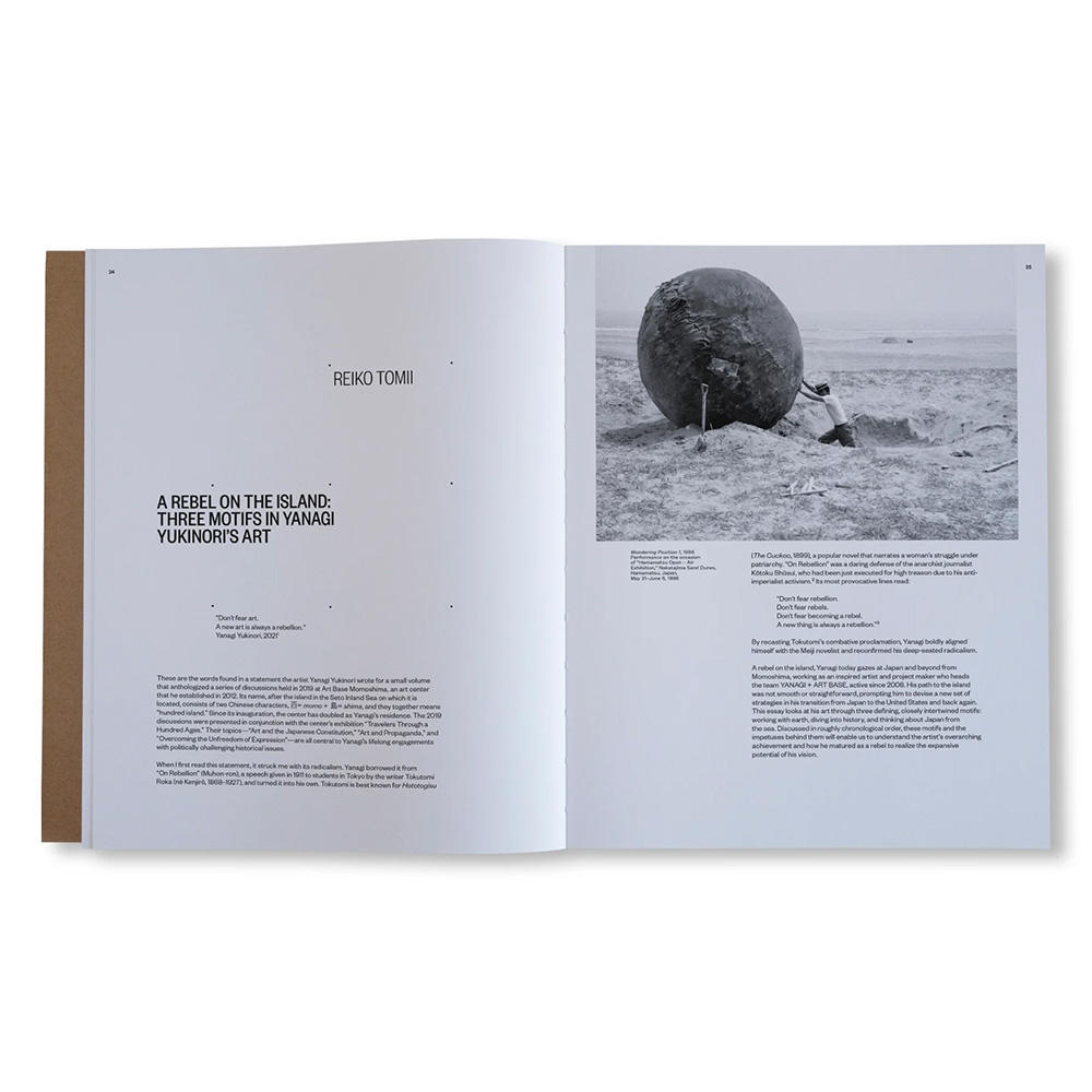 ICARUS by Yukinori Yanagi（柳幸典）　作品集