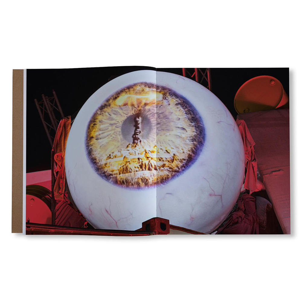 ICARUS by Yukinori Yanagi（柳幸典）　作品集