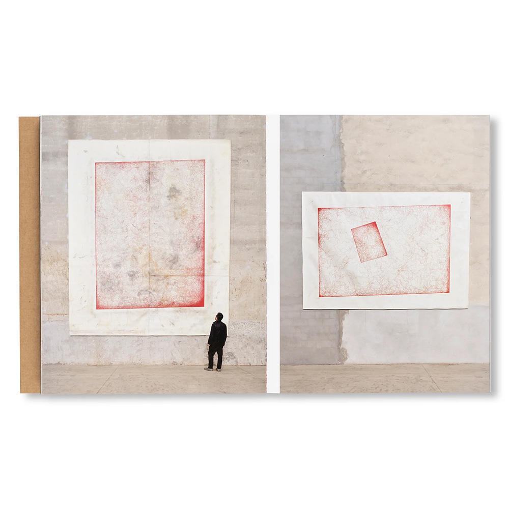 ICARUS by Yukinori Yanagi（柳幸典）　作品集