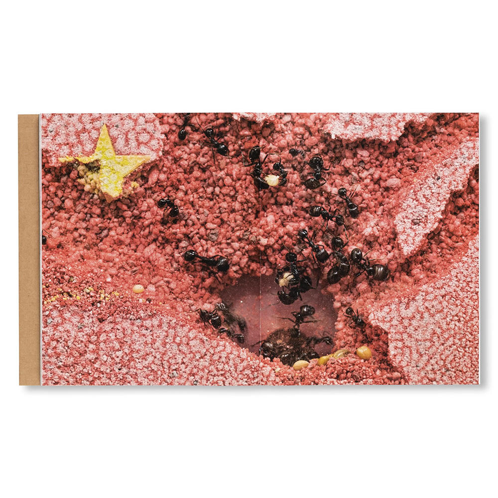 ICARUS by Yukinori Yanagi（柳幸典）　作品集