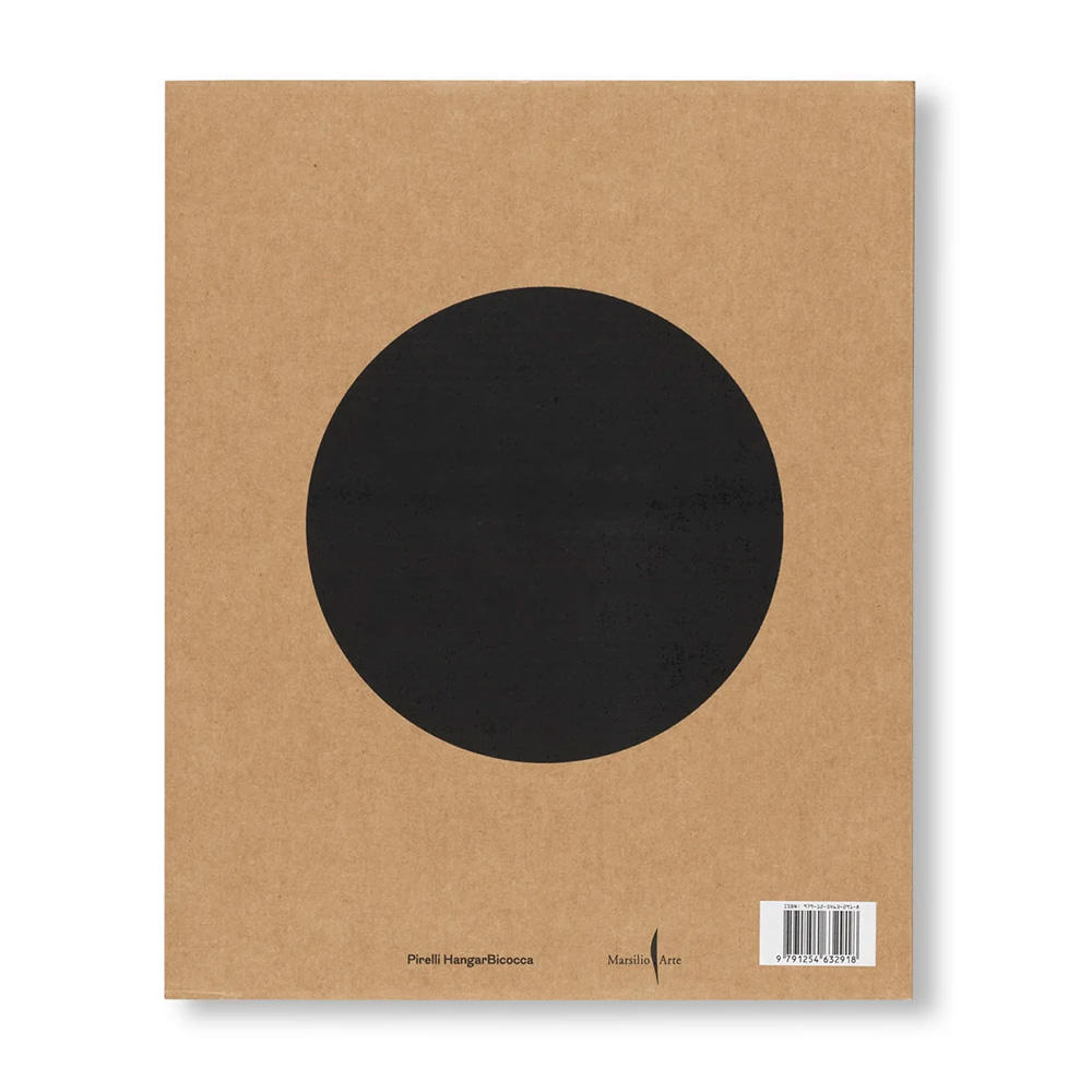 ICARUS by Yukinori Yanagi（柳幸典）　作品集